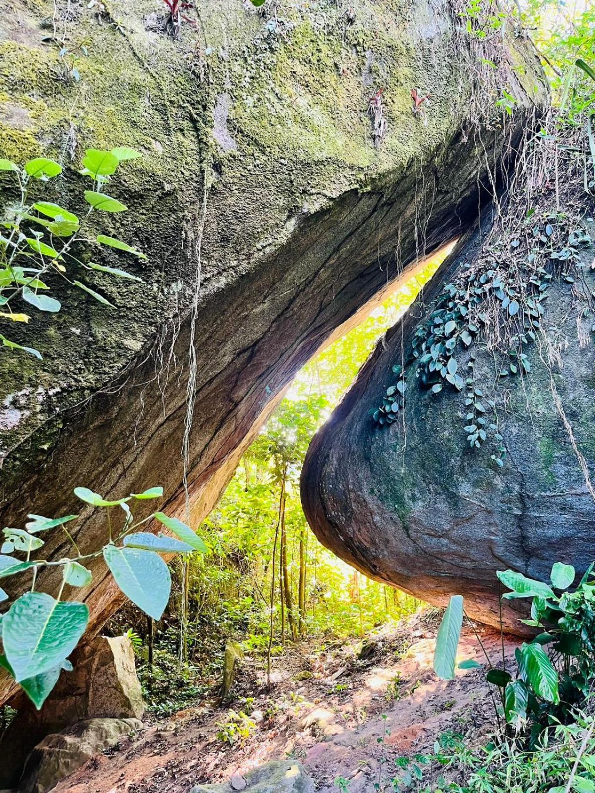 Pousada E Restaurante Alto Da Serra 보니토 외부 사진